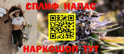 PSILOCYBIN Рыбинск