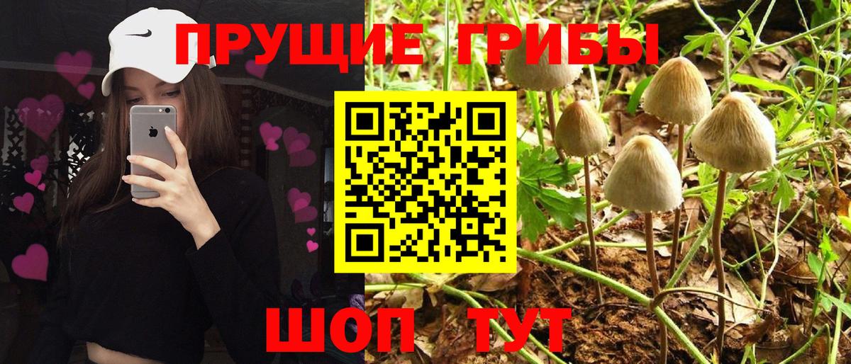 Галлюциногенные грибы мухоморы  Вход с VPN  Псилоцибиновые грибы Cubensis  Новочебоксарск 