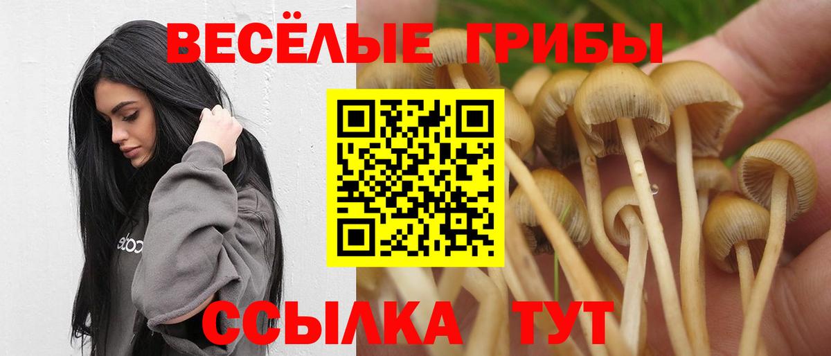 Псилоцибиновые грибы MAGIC MUSHROOMS Новочебоксарск